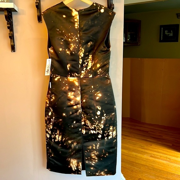 CUSHNIE ET OCHS DESIGNER DRESS. SIZE 8 - Picture 2 of 8